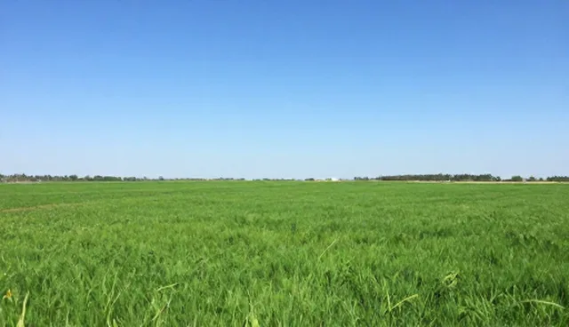 如何通过选型建议提升管理效率？